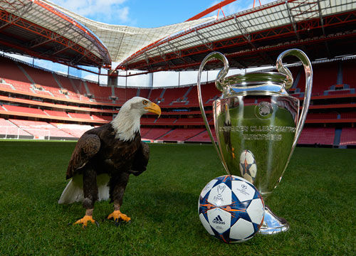 官方：林加德将在对阵墨尔本城的亚精英赛后与FC首尔解约（FC首尔官宣：战墨尔本城的亚精英赛后将与林加德解约）